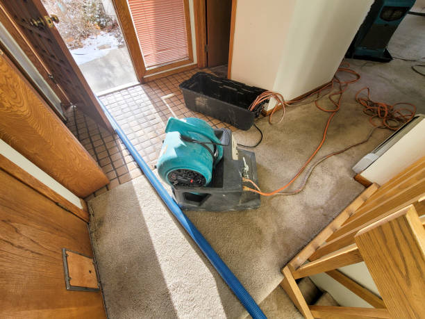 Best Basement water damage restoration  in Rome, NY