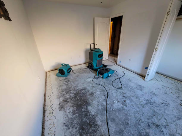 Best Commercial water damage restoration  in Rome, NY