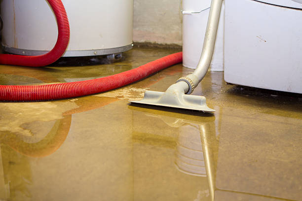 Best 24/7 water damage repair  in Rome, NY