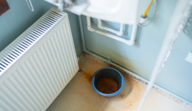 Best Water damage contractors near me  in Rome, NY