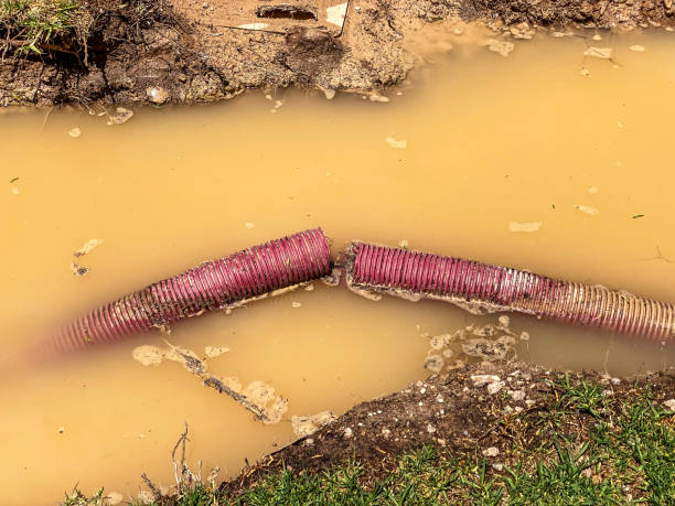 Best 24-hour water damage restoration  in Rome, NY