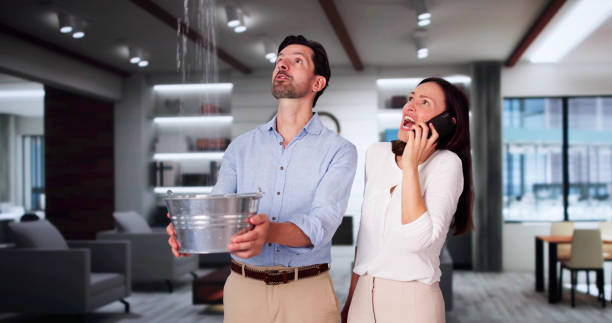 Best Water damage mitigation services  in Rome, NY